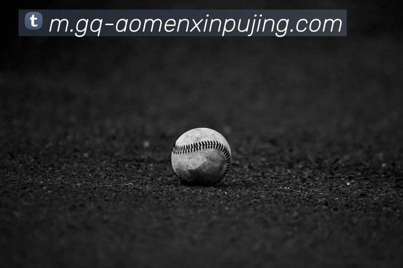 新葡京娱乐APP 封面图